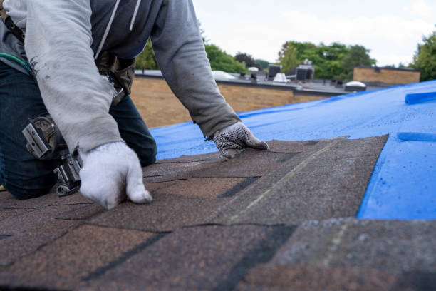 Best Roof Gutter Cleaning  in Ashburn, VA